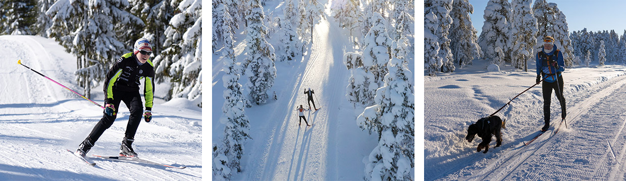 Winter - Cross country skiing in Innlandet