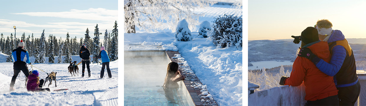 Winter - Various winter activities in Innlandet